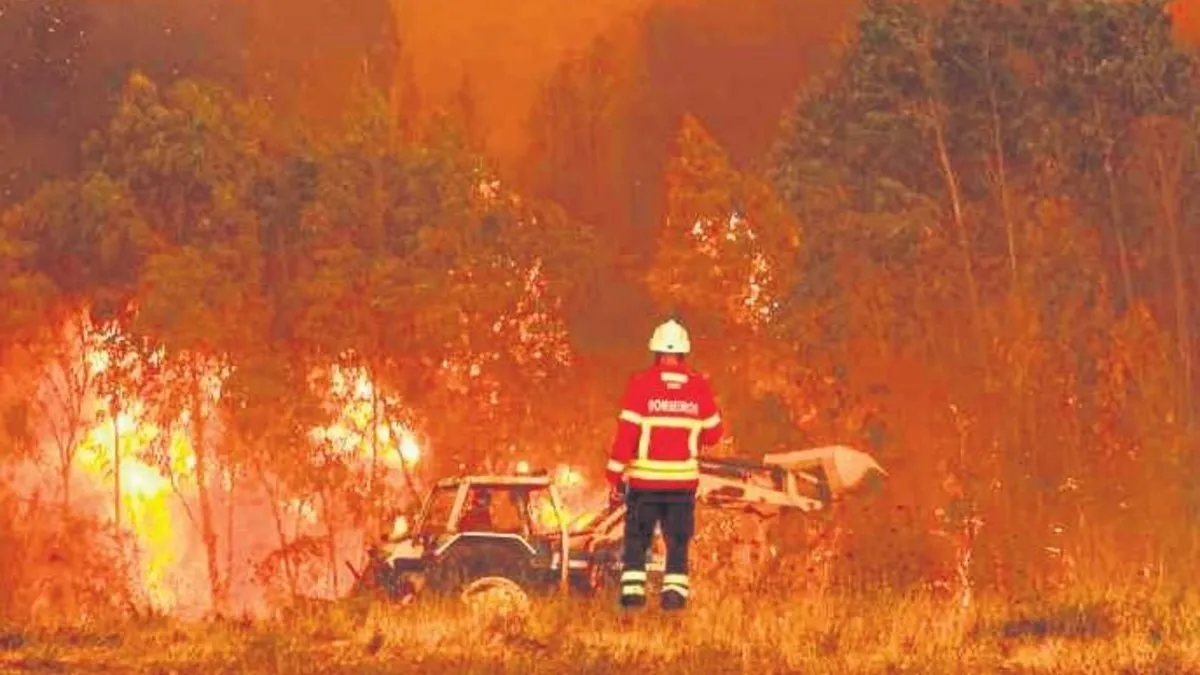 Portekiz’de ormanlar alev alev 4 ölü