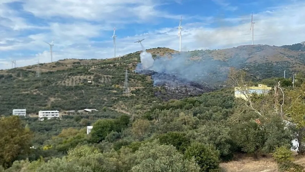 Erdek’te yangın: 10 dönümlük zeytinlik kül oldu