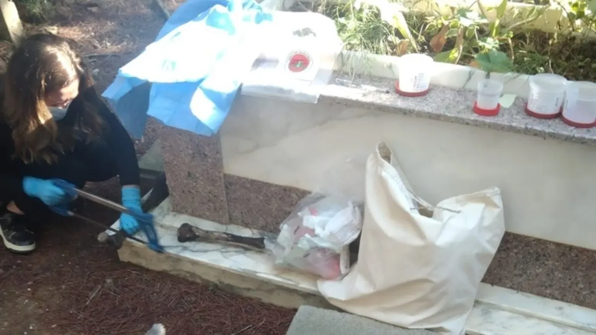 SON DAKİKA | Filmlere konu olacak olay! Mezarı 2 kez açıldı: Babasının öldürdüğü adam gerçek babası çıktı